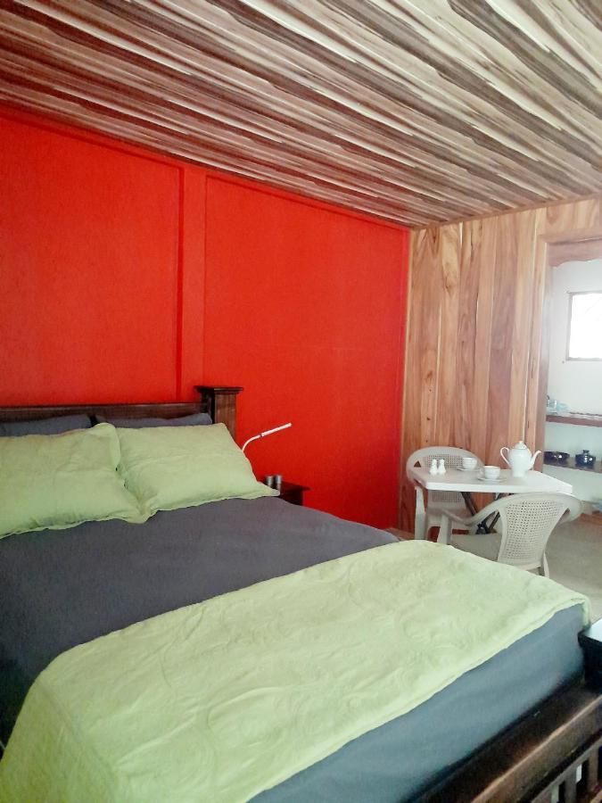 Hostel Osa Tucan Drake Drakes Bay Rom bilde