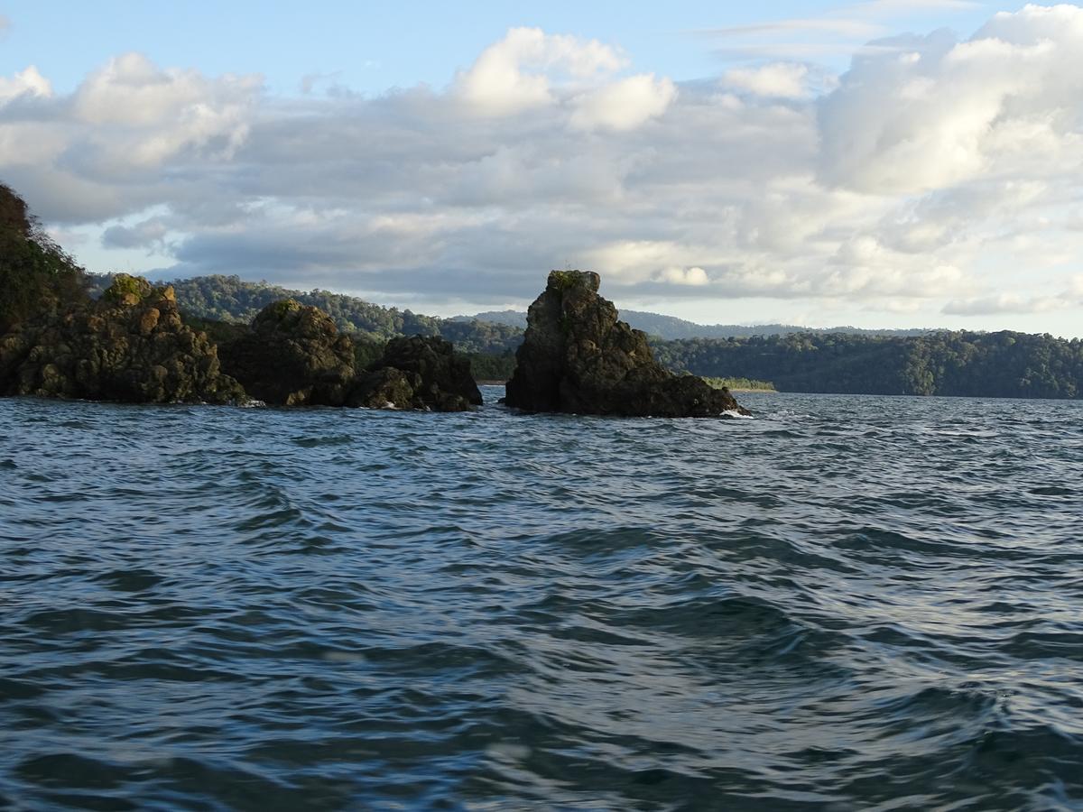 Hostel Osa Tucan Drake Drakes Bay Eksteriør bilde